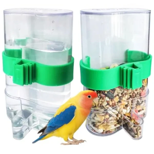 Bird Auto Feeder