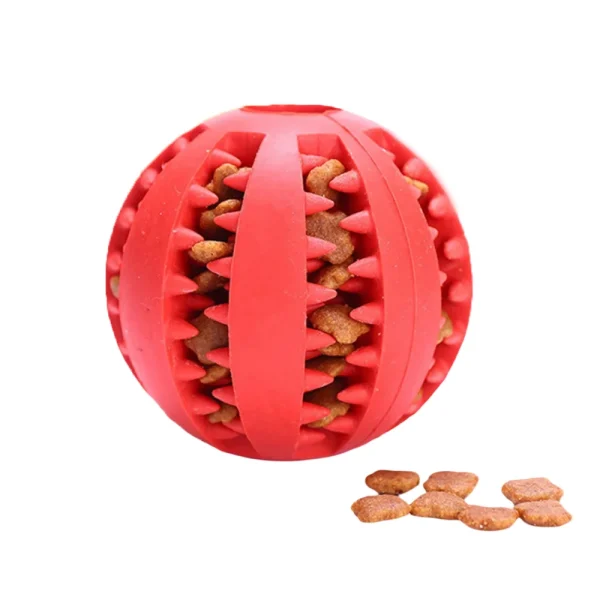 pet dog training ball