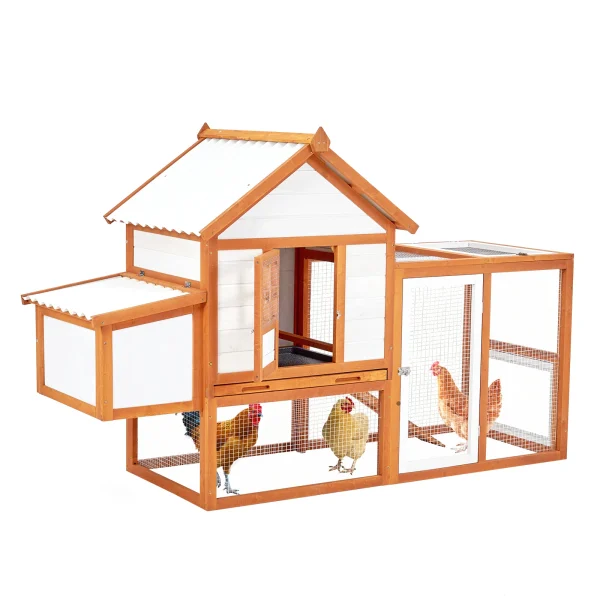 Chicken Coop Easy Cleaning