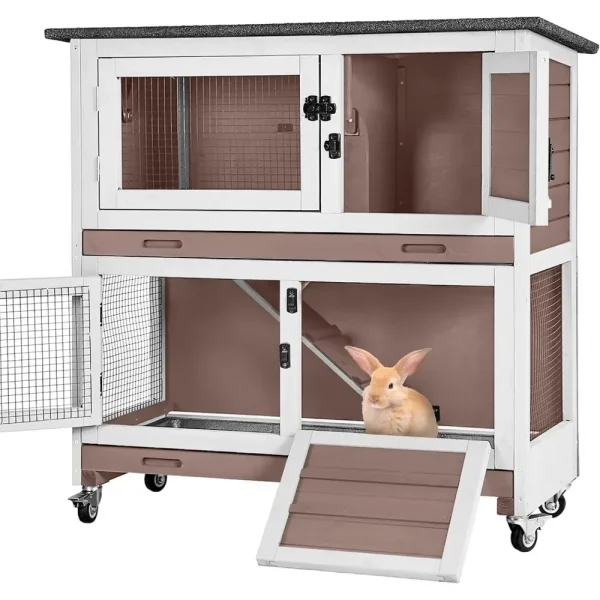 Rabbits  Guinea Pigs House