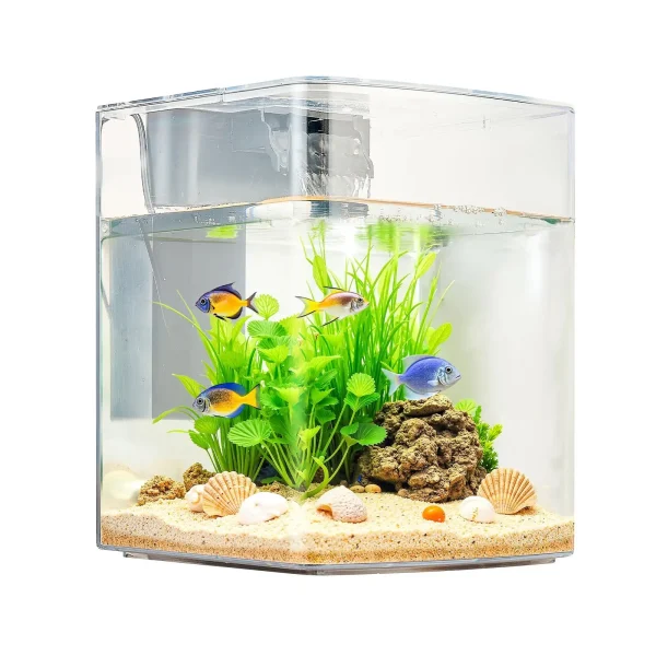 Fish Tank , 2 Gallon