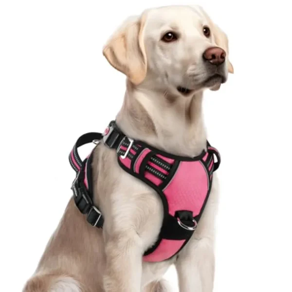 Dog Harness  Large,