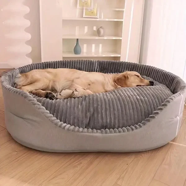 Small/Medium/Large Bed